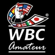 world-boxing-council-logo